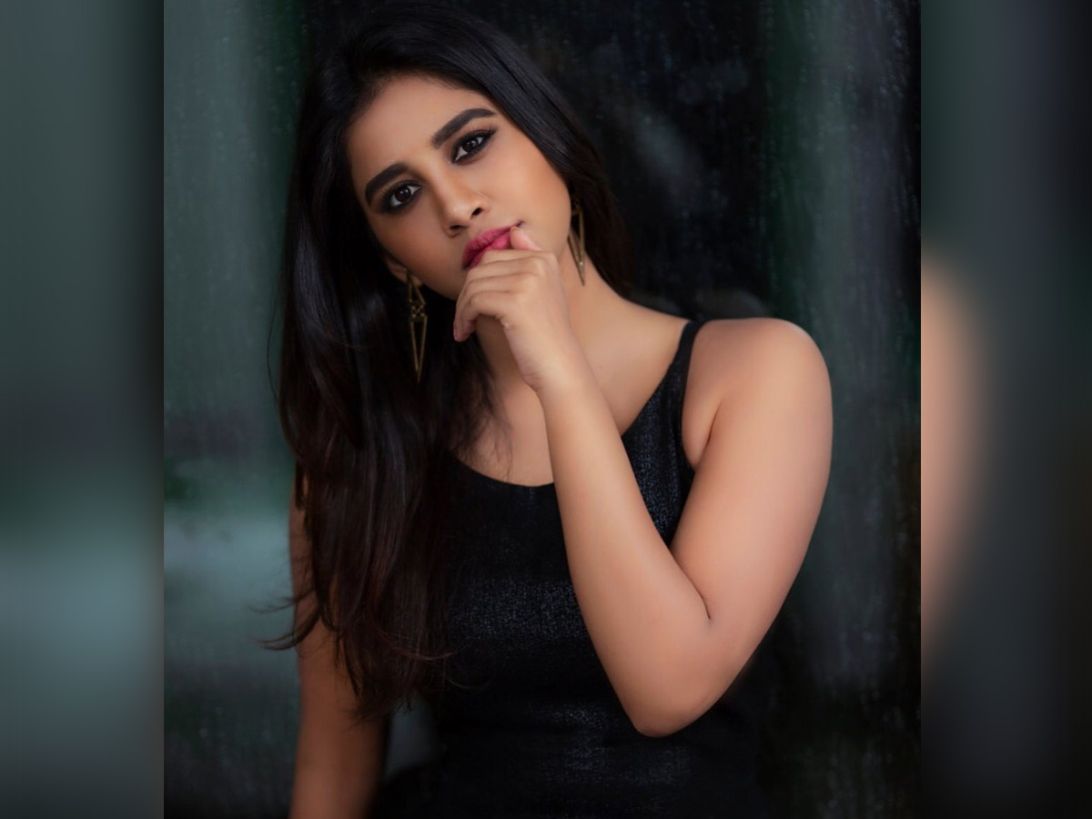 Ismart Shankar effect: Nabha Natesh walks out of a project