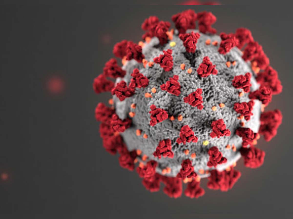 1990 positive Coronavirus Cases in 24 Hours