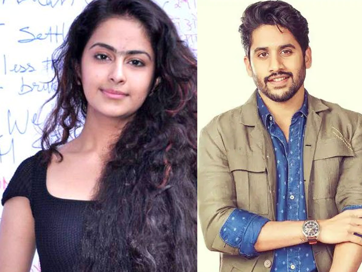  Naga Chaitanya turns producer for Avika Gor