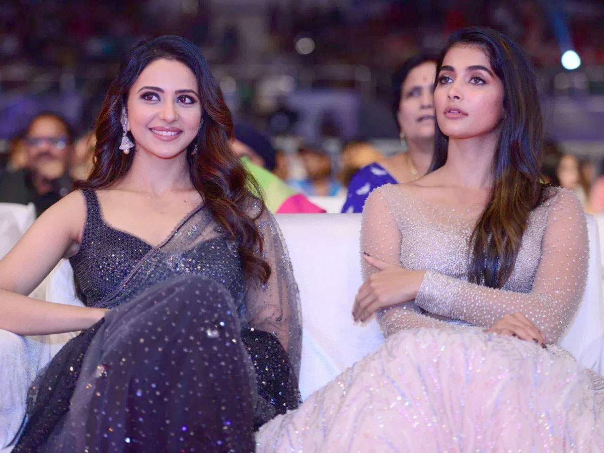 Pooja Hegde satire on Rakul Preet