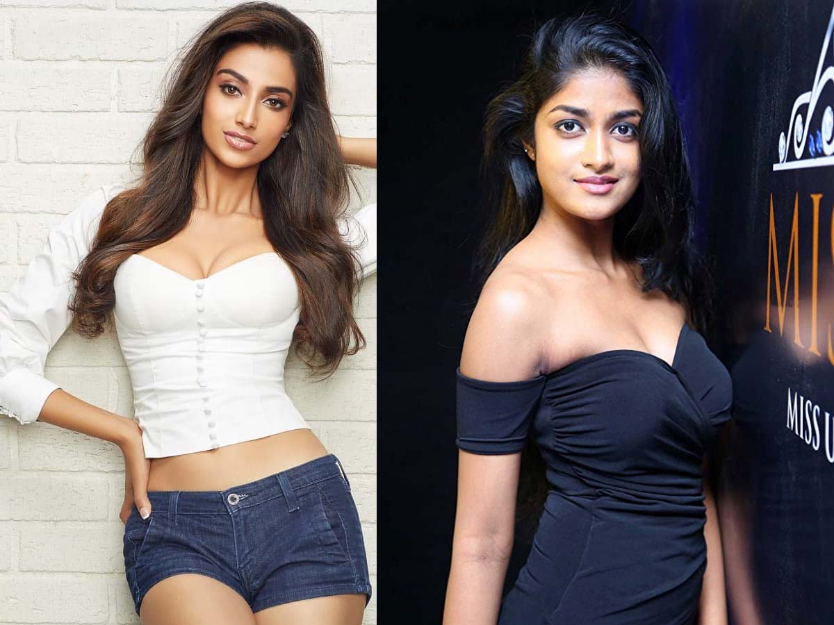 Meenakshi Chowdary and Dimple Hayathi in Ravi Teja film?