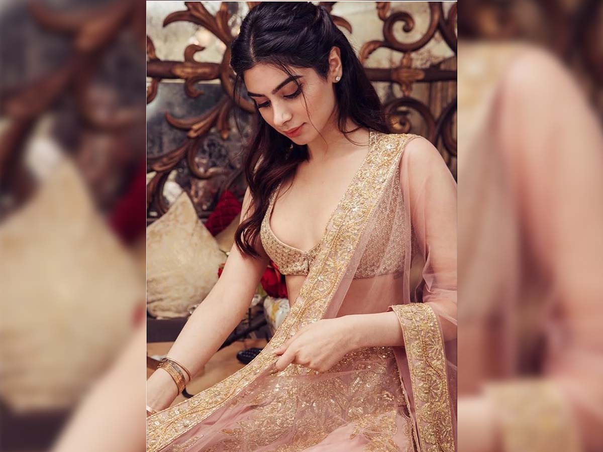 Sridevi daughter Kushi Kapoor in Pelli Sandadi 2?