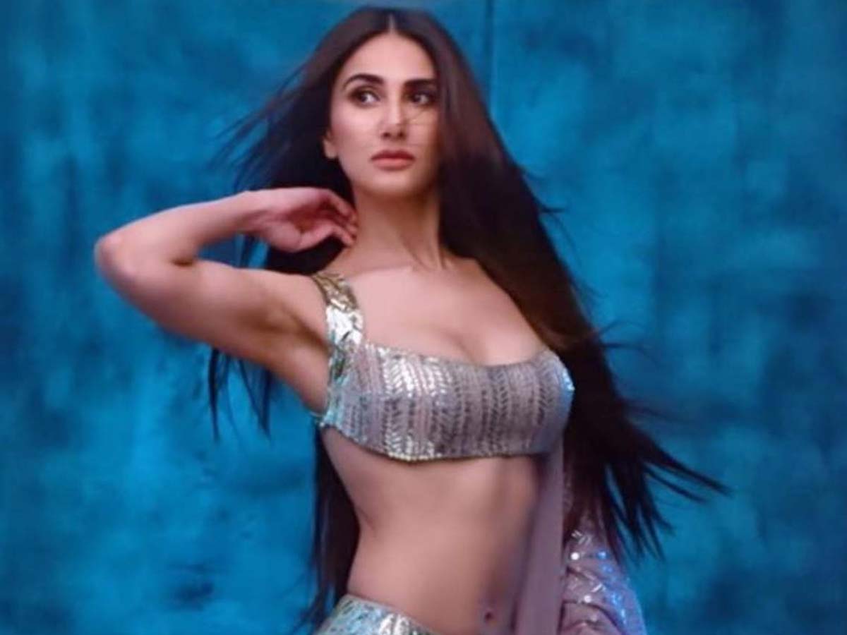 Vaani Kapoor to play a transgender?