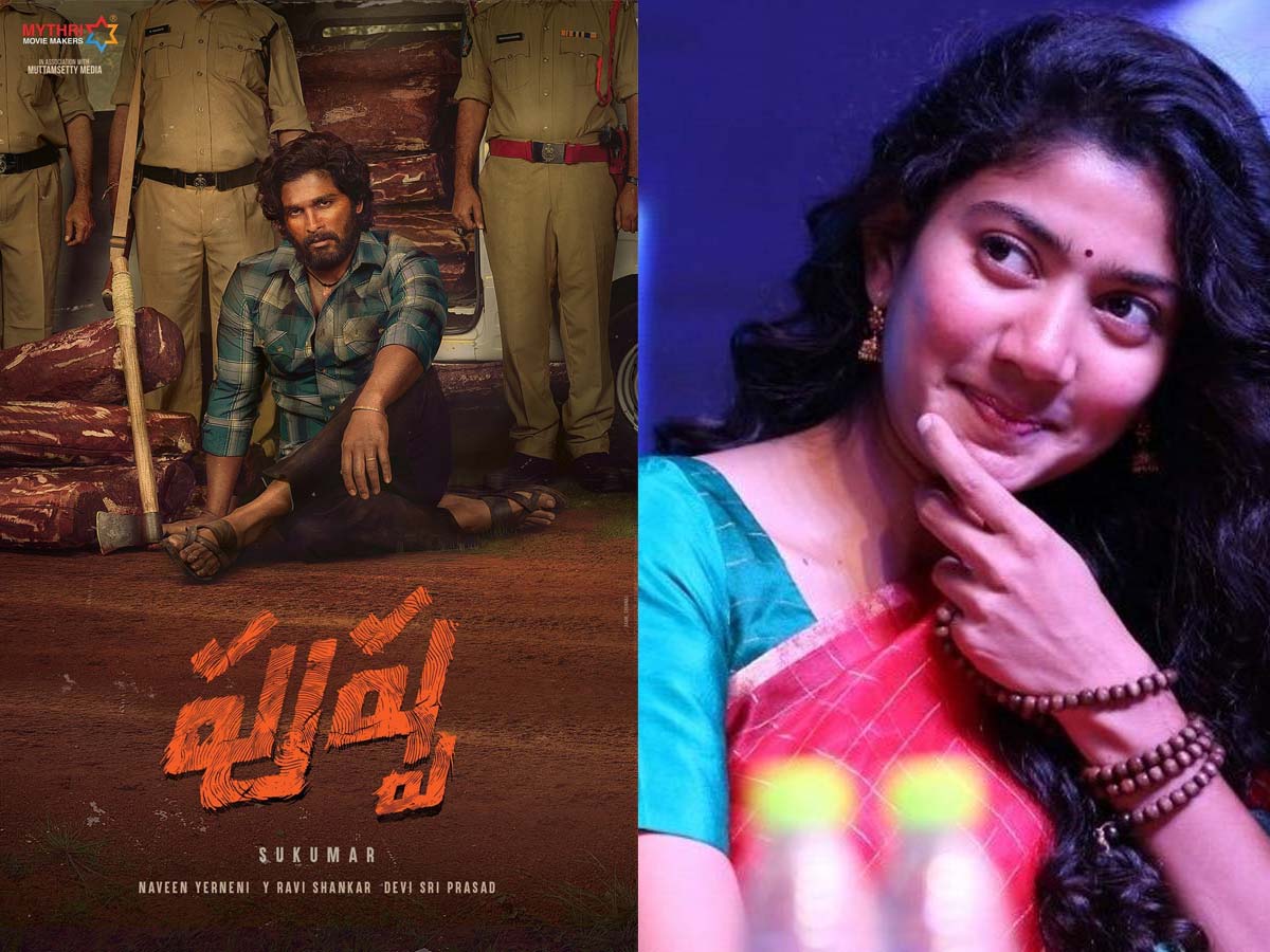 Sai Pallavi to give green light to Allu Arjun Pushpa?