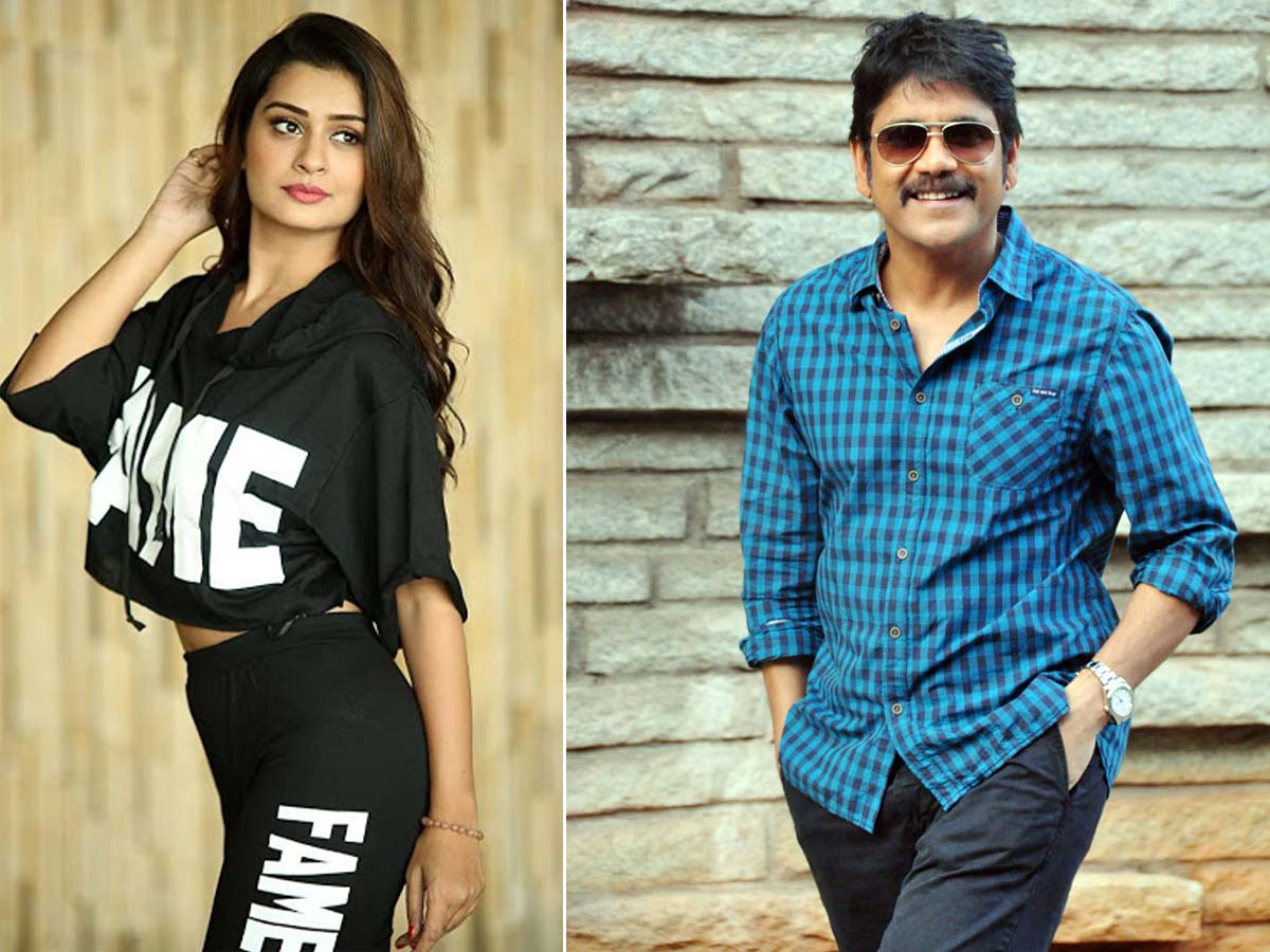 Payal Rajput special song in Nagarjuna film